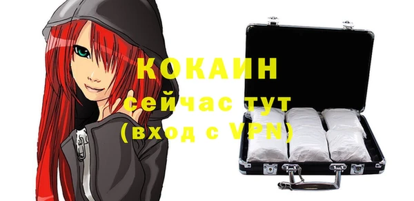 сатива Иннополис