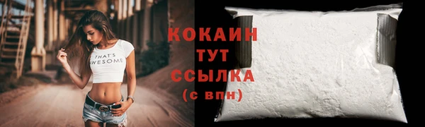 сатива Карпинск