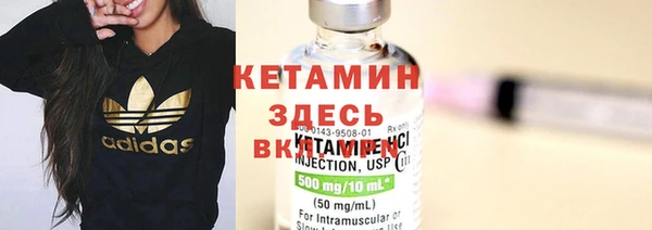 сатива Карпинск