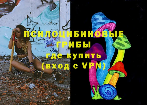 PSILOCYBIN Каменск-Шахтинский