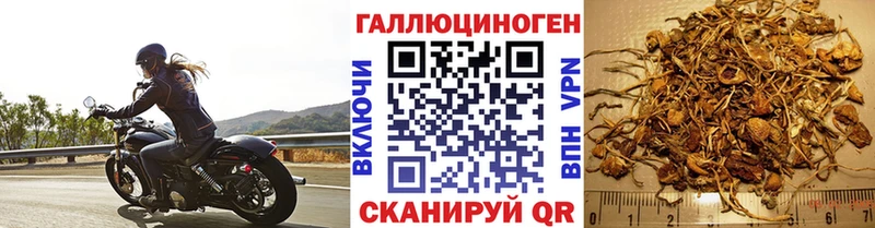 Галлюциногенные грибы мицелий  Куйбышев 