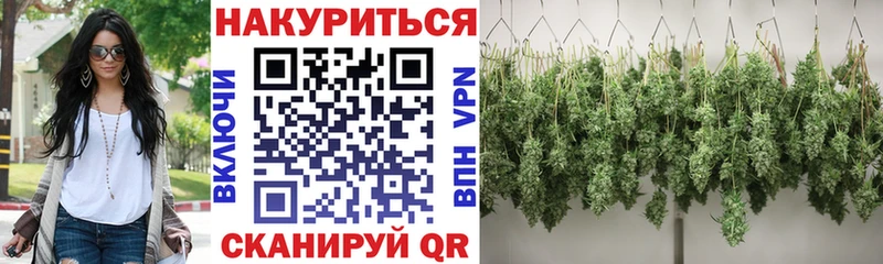 Бошки марихуана SATIVA & INDICA  Куйбышев 